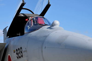 Illustration for article titled Infrared Search And Track Systems And The Future Of The US Fighter Force